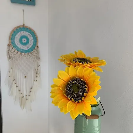 Apartment Casa Piquel Corralejo